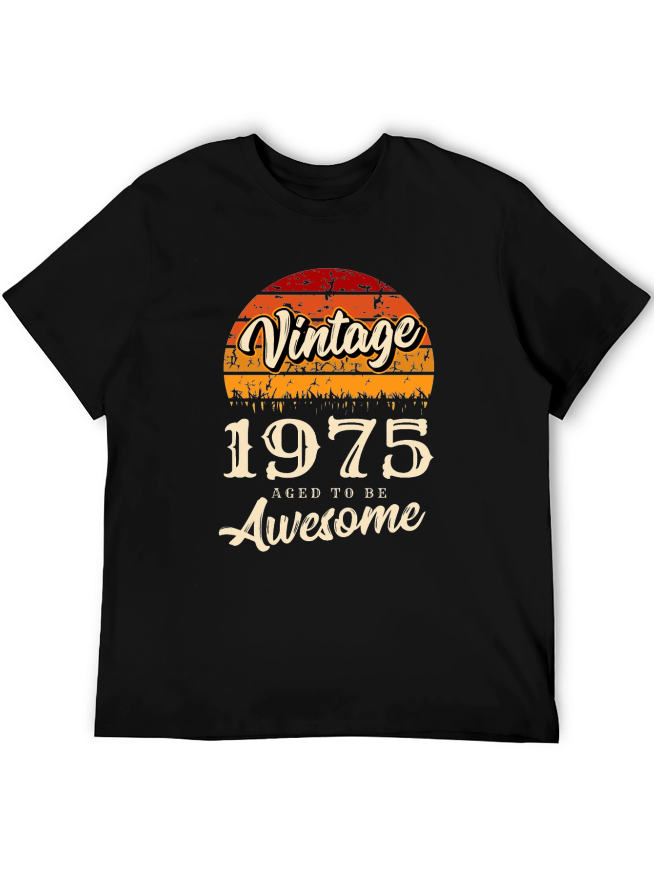 Vintage 1975 Aged To Be Awesome T-Shirt
