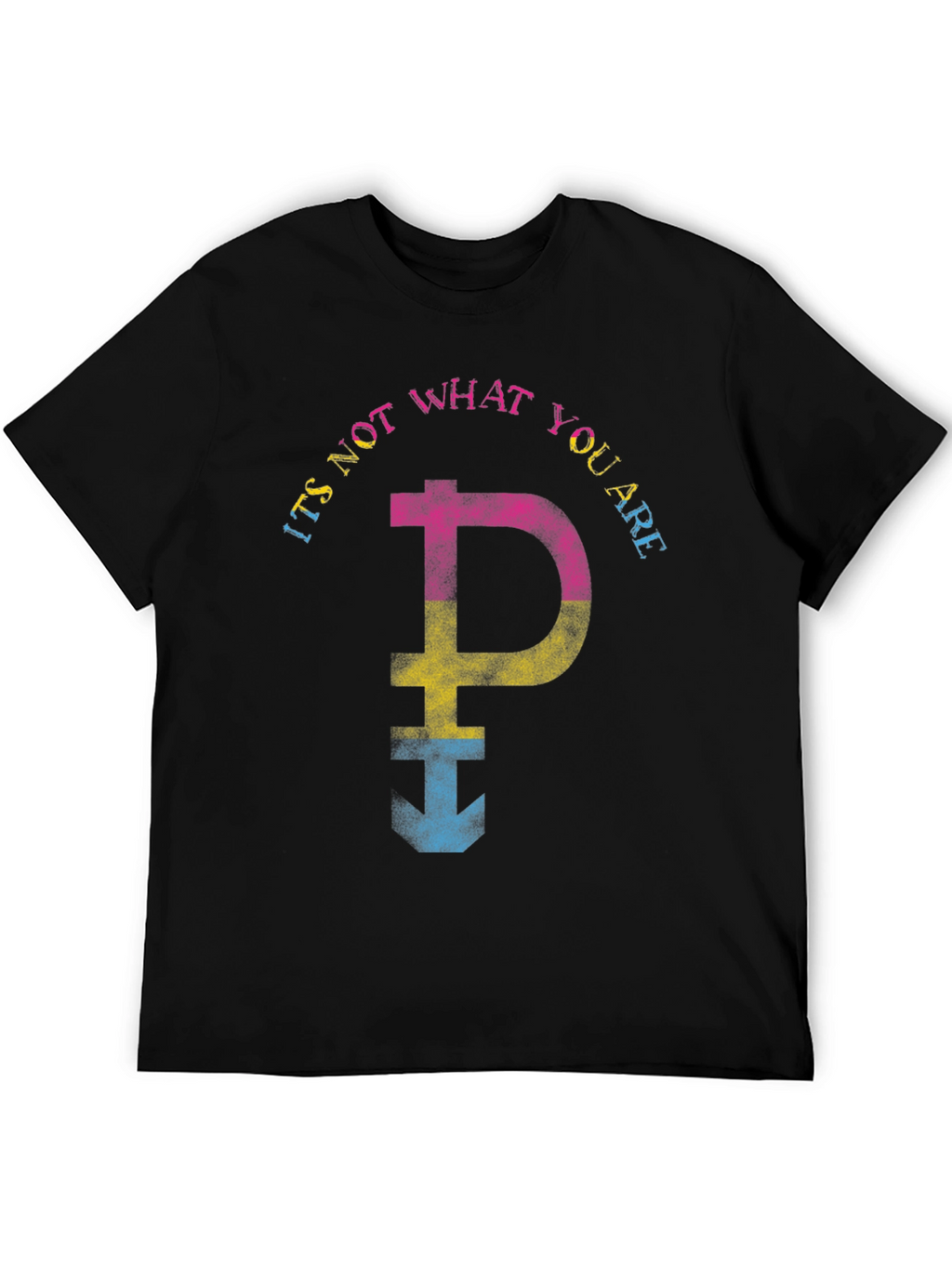 Pansexual Pride T-Shirt - Its Not What You Are