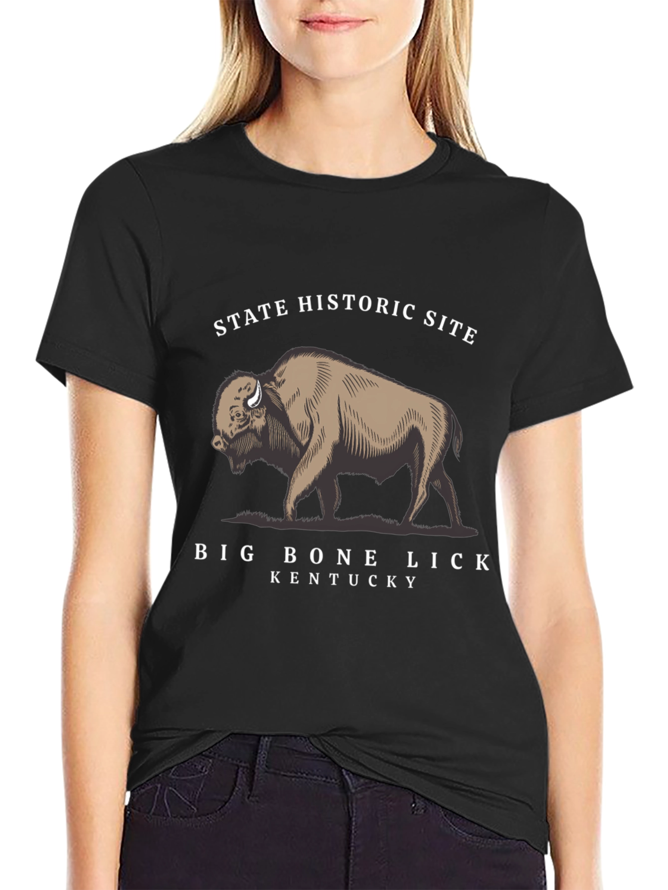 Big Bone Lick Kentucky Bison T-Shirt
