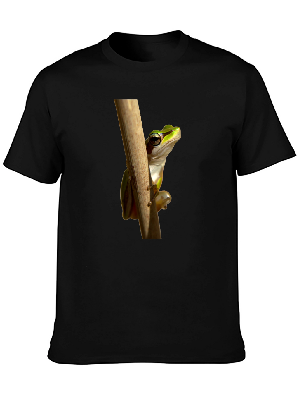 Frog on Branch Graphic T-Shirt - Black