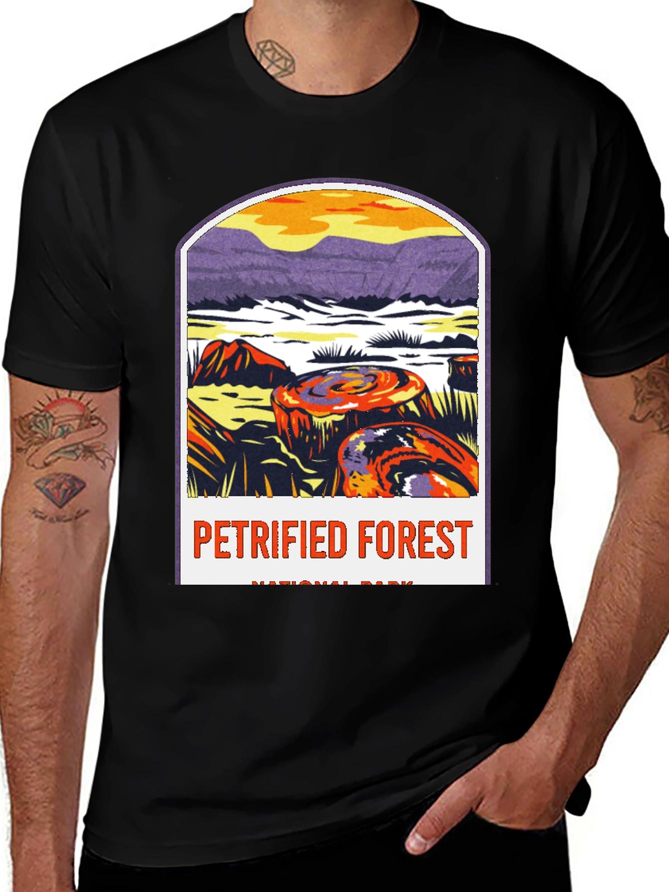 Petrified Forest National Park Graphic Tee