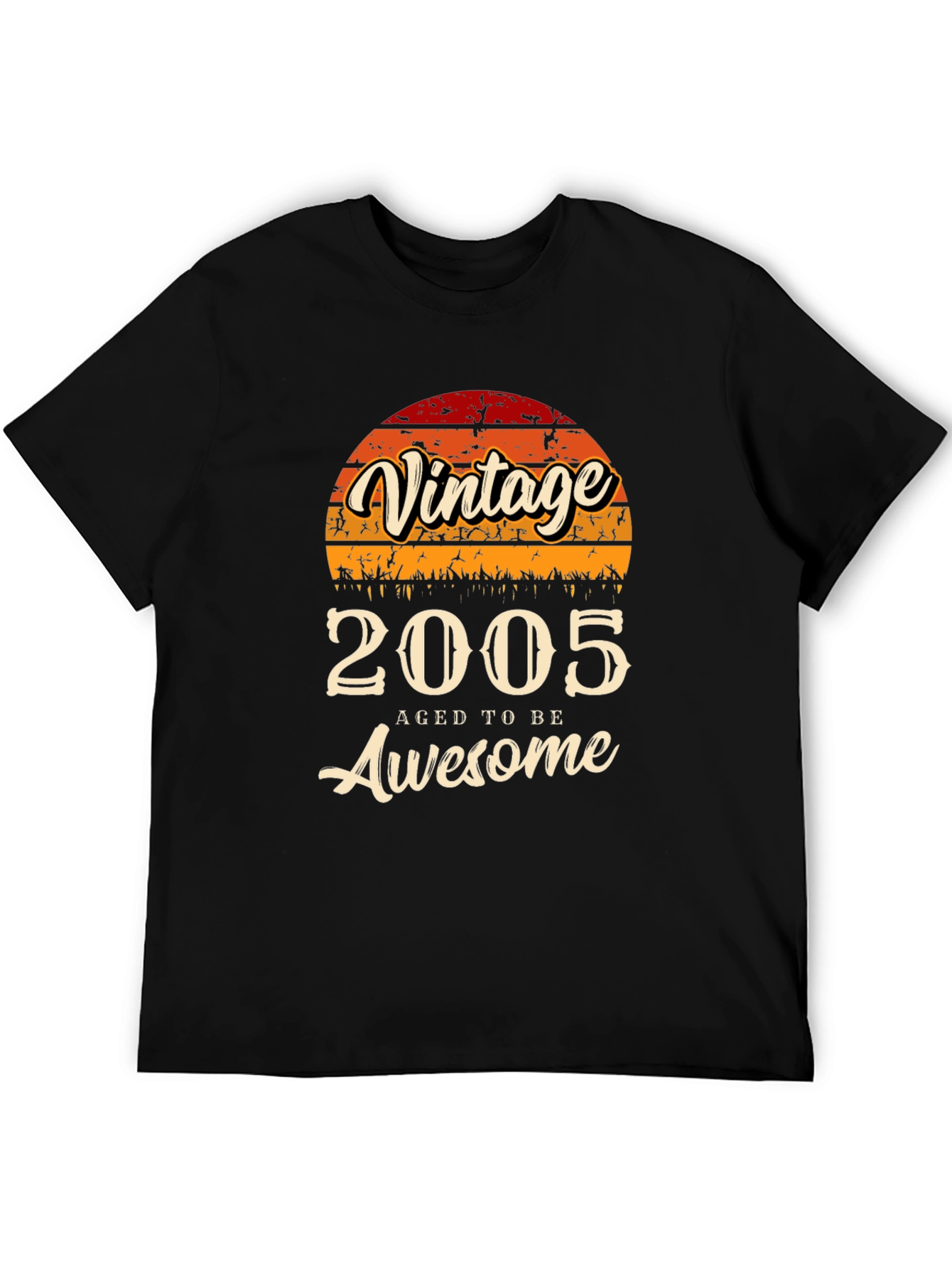 Vintage 2005 Aged to be Awesome T-Shirt