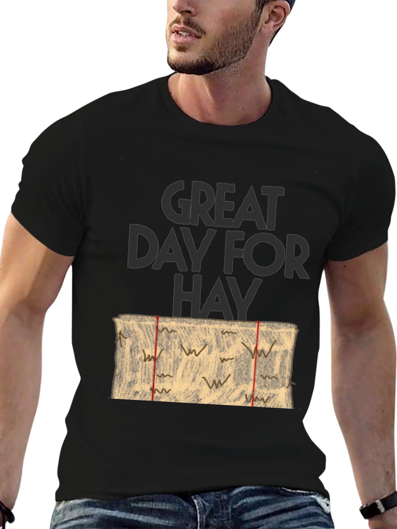 Great Day For Hay T-Shirt Novelty Tee