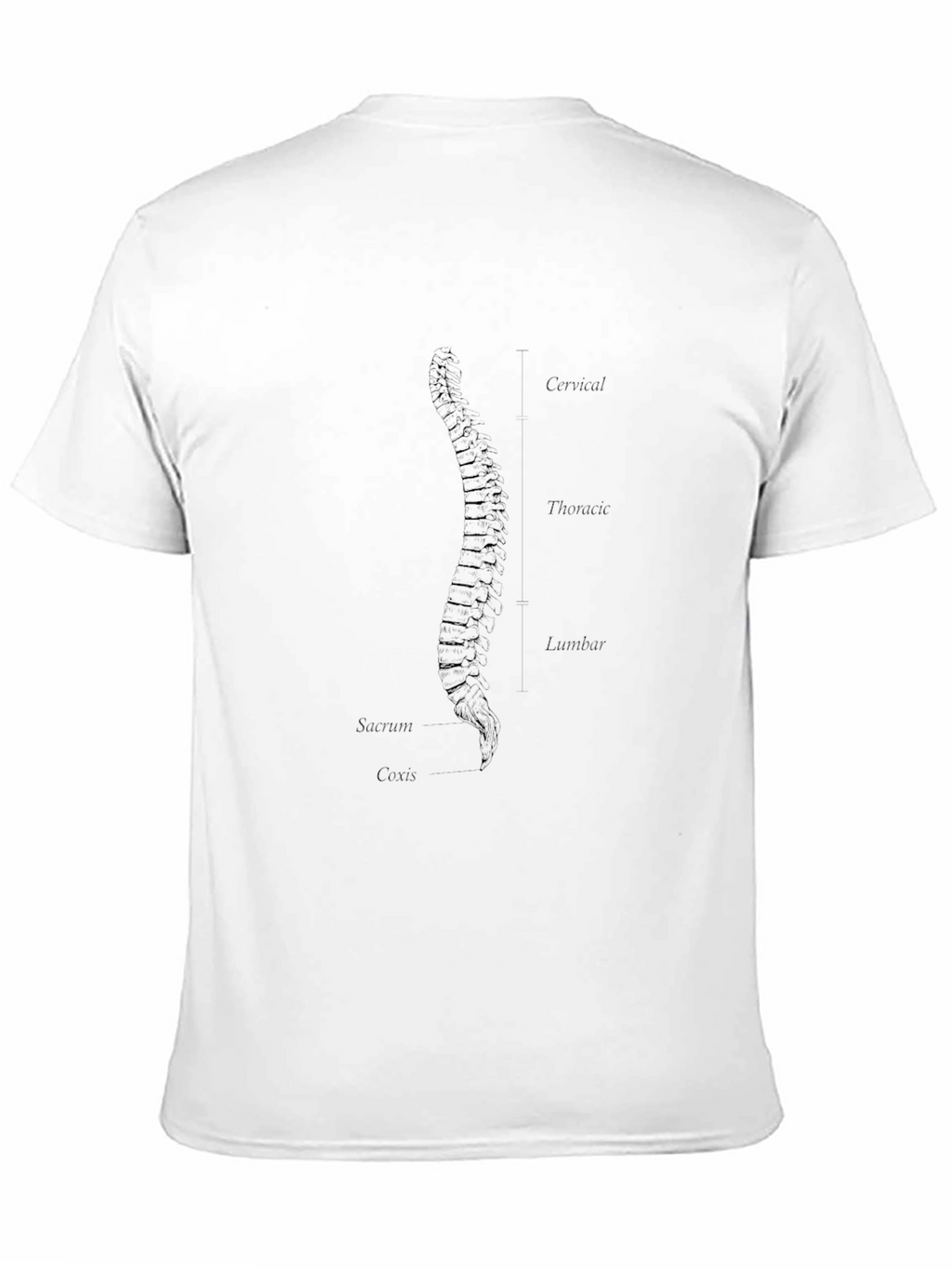 Anatomical Spine Graphic T-Shirt - Black