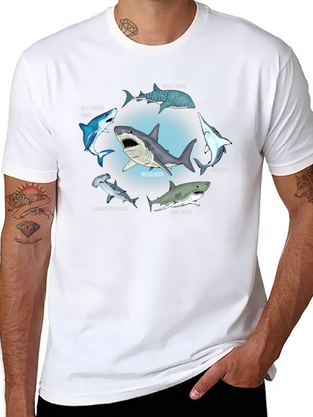 Shark Species T-Shirt: Megalodon Hammerhead & More!