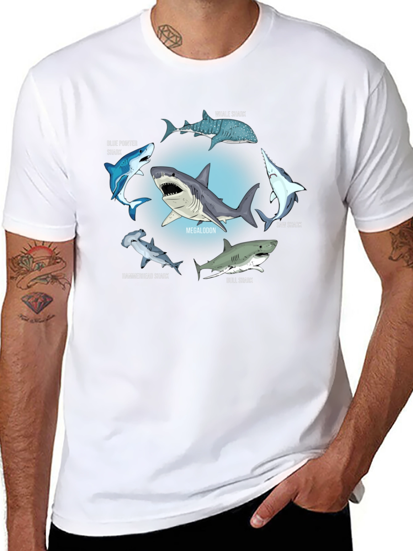 Shark Species T-Shirt: Megalodon Hammerhead & More!
