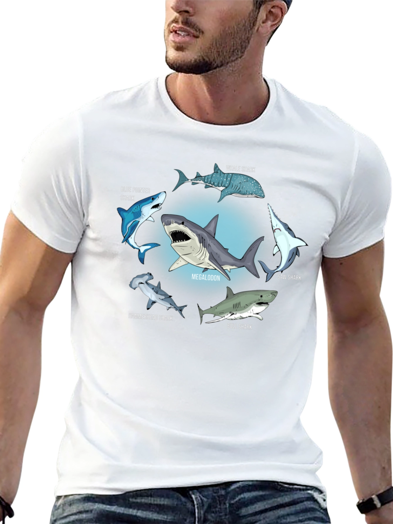 Shark Species T-Shirt: Megalodon Hammerhead & More!