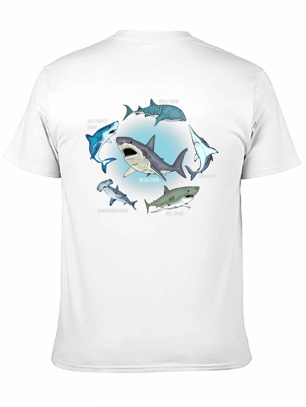 Shark Species T-Shirt: Megalodon Hammerhead & More!