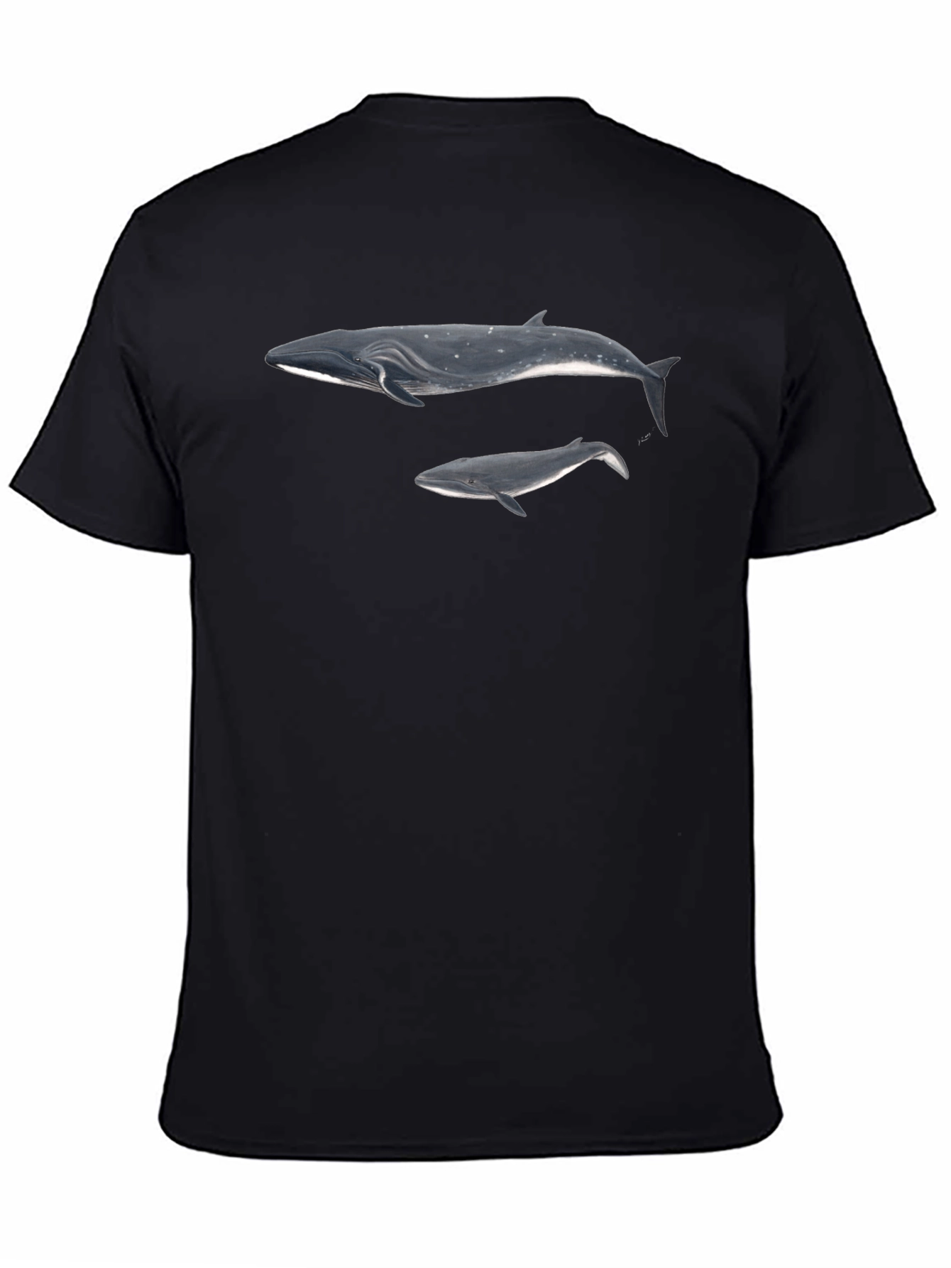 Whale Graphic Black T-Shirt for Men