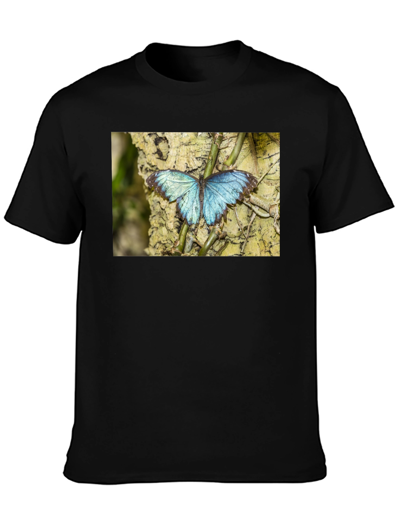 Blue Butterfly Graphic Black T-Shirt