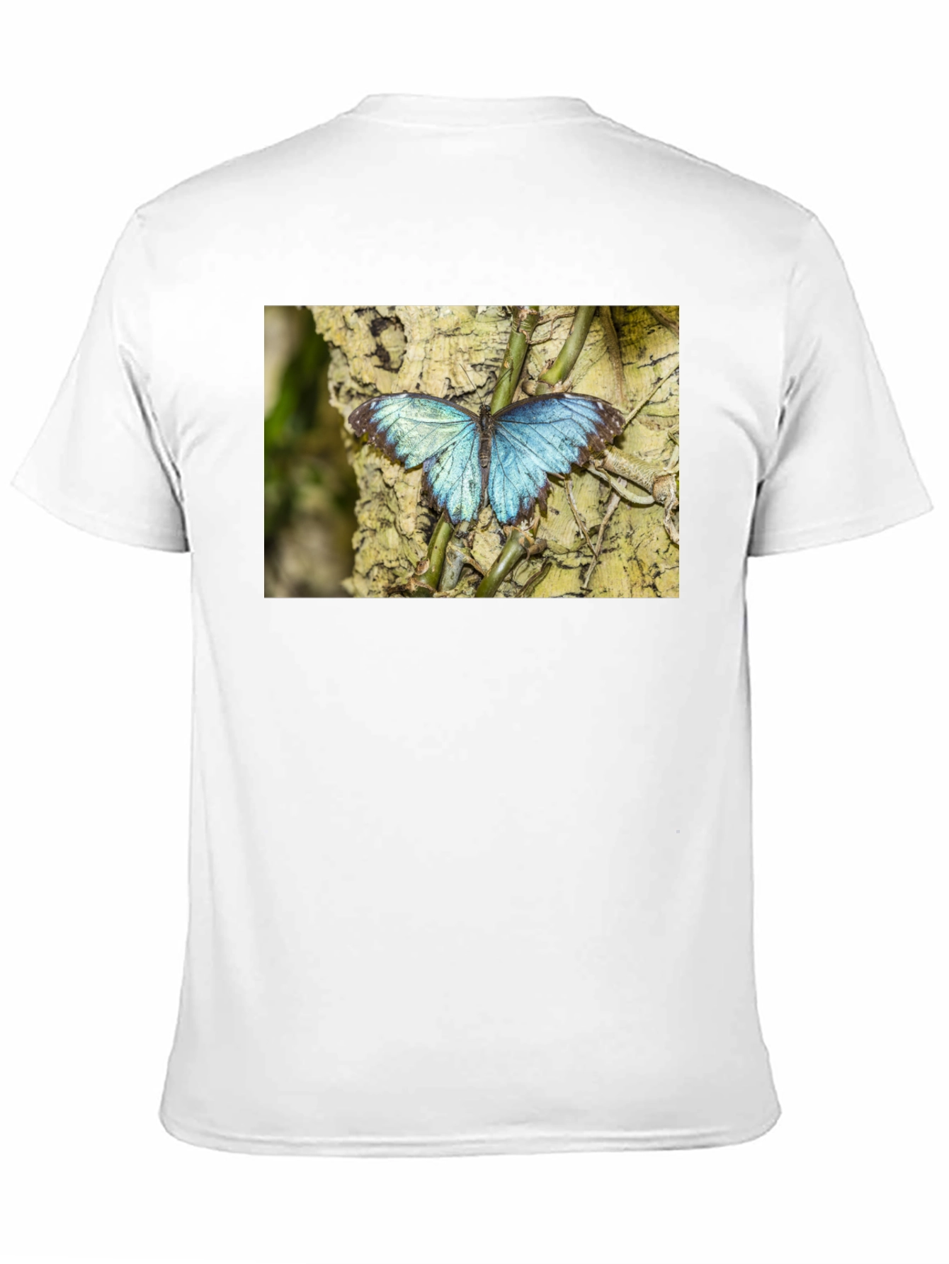 Blue Butterfly Graphic Black T-Shirt
