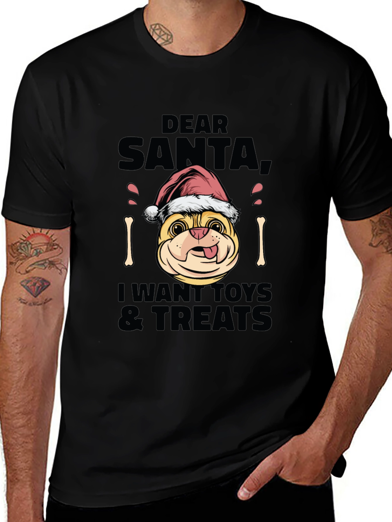 Dear Santa Dog Christmas T-Shirt