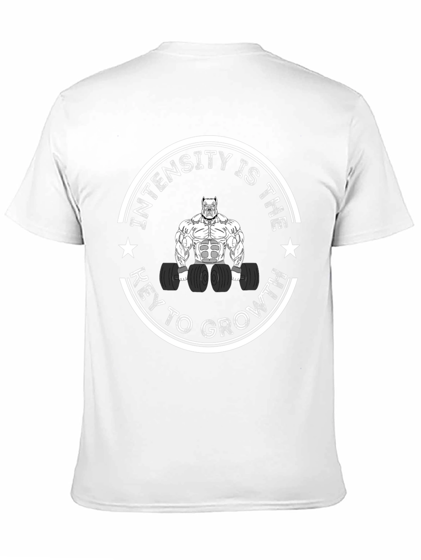 Intensity is Key T-Shirt - Mens Fitness Apparel